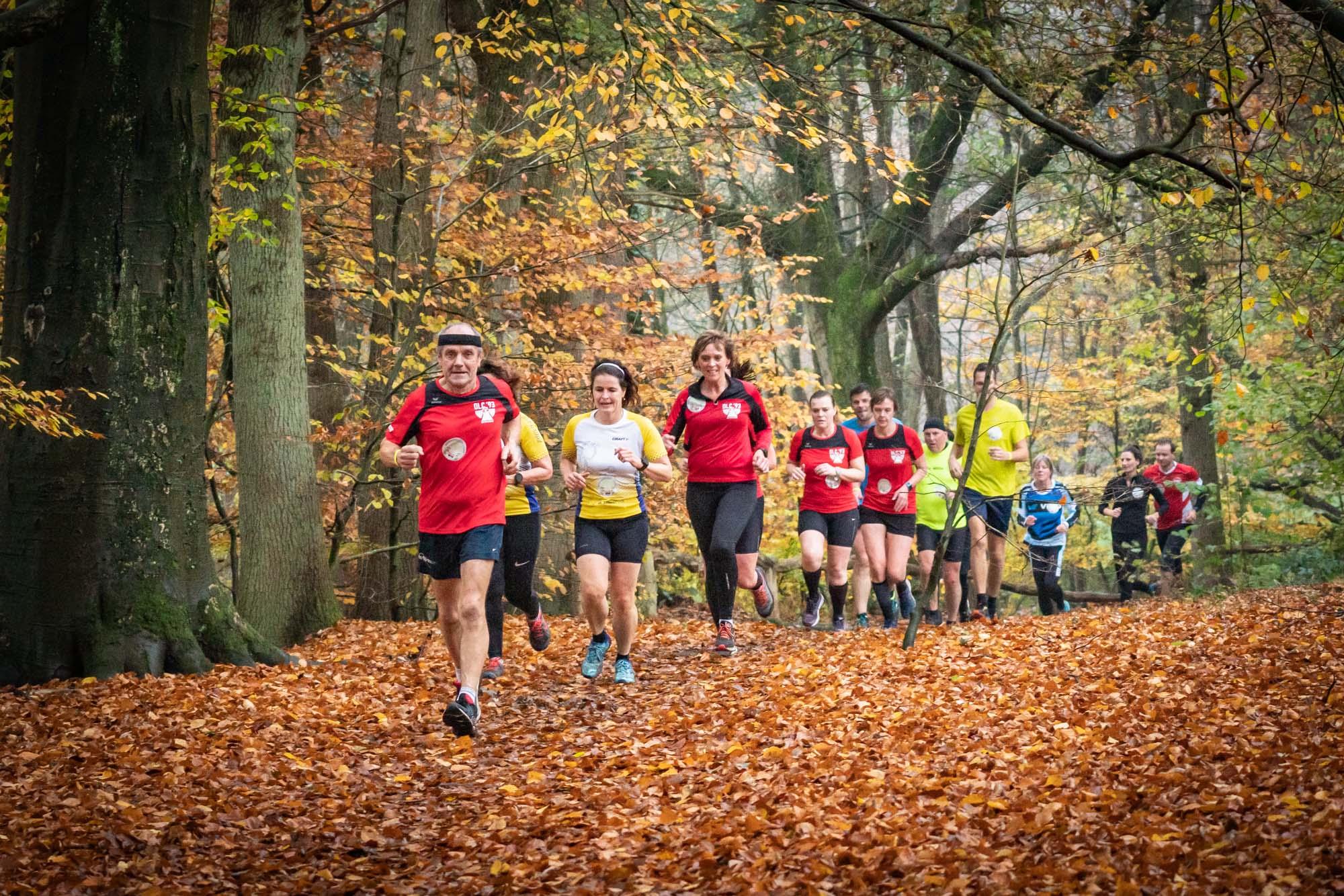 OLC'ers nodig als vrijwilligers voor Springendalloop