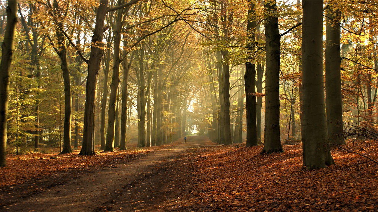 Fartlektraining 19 oktober