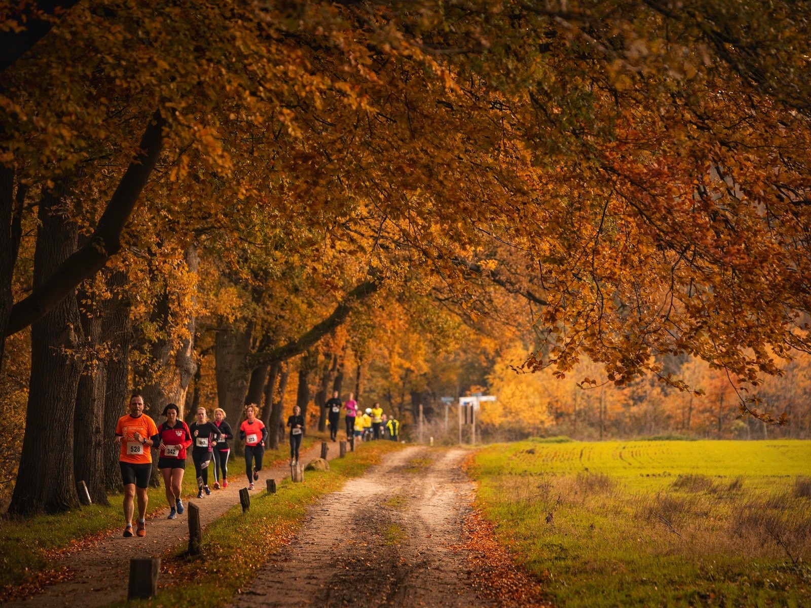 Midwinter Marathon Apeldoorn 2024